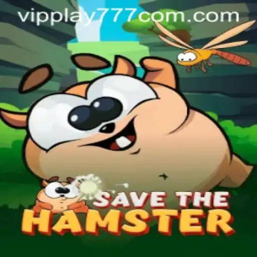 Explore the Innovative World of SavetheHamster: A Fun-Filled Adventure